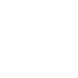 Icon: Hotels